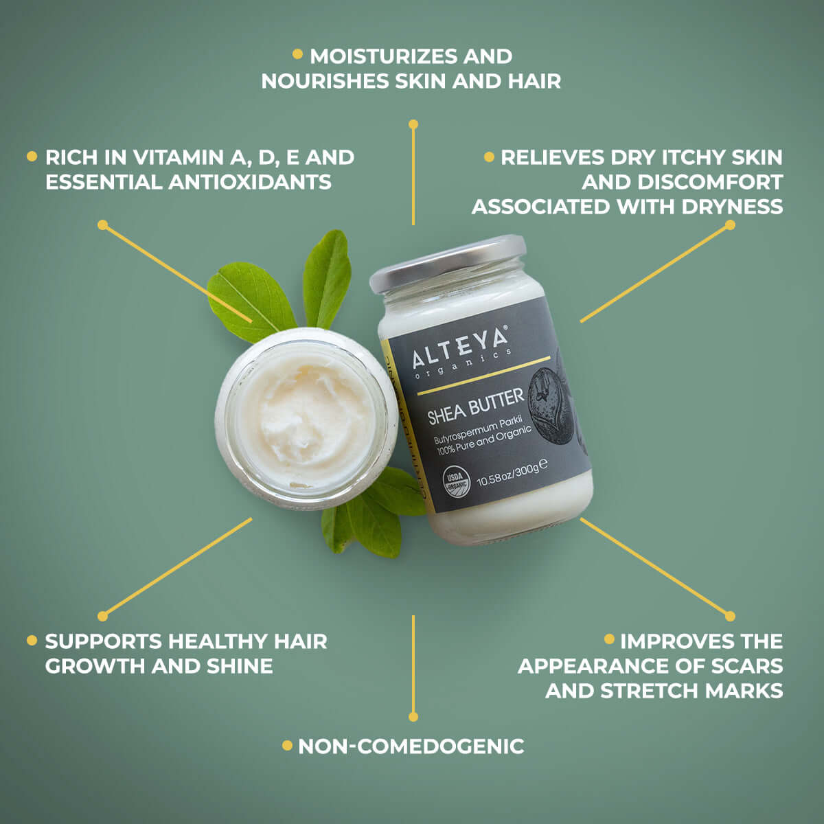 Alteya Organics Shea Butter Körperbutter 300 g Glas Bio