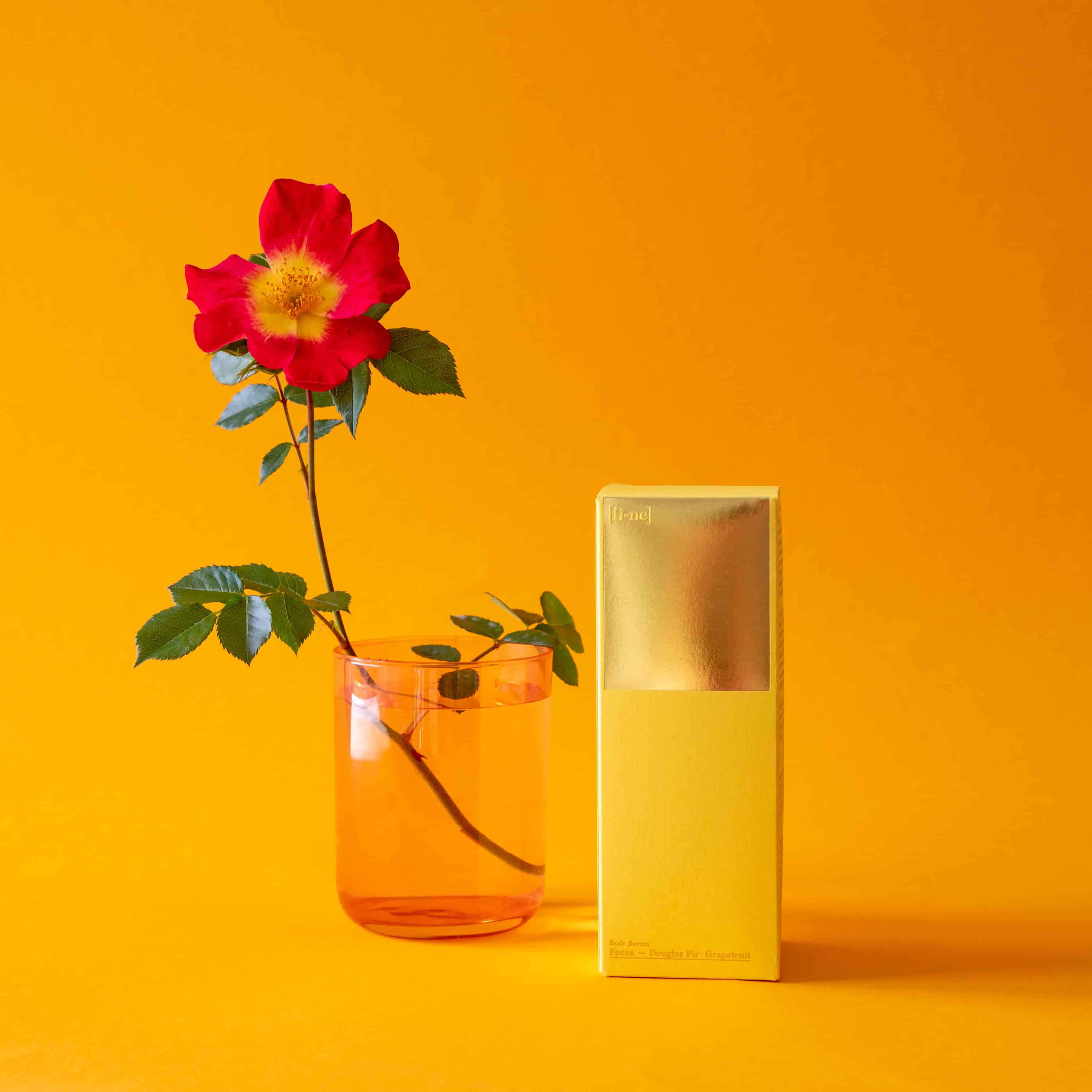 fine Focus Hyaluron Körperserum Yuzu & Benzoe mit 3-fach Hyaluron