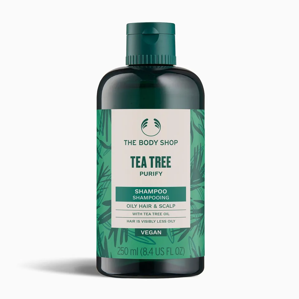 The Body Shop Tea Tree Purify Shampoo Teebaum 250 ml fettig