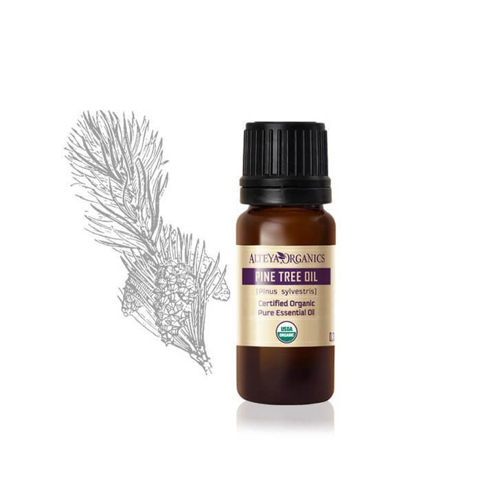Alteya Kiefernadel Ätherisches Öl Bio 120 ml Balsamisch
