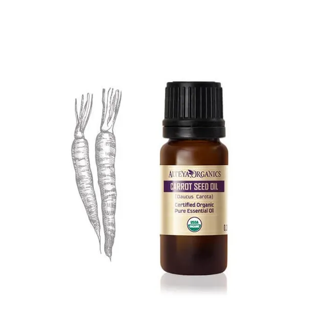 Alteya Organics Essential Oils Karottensamenöl 10ml ätherisch