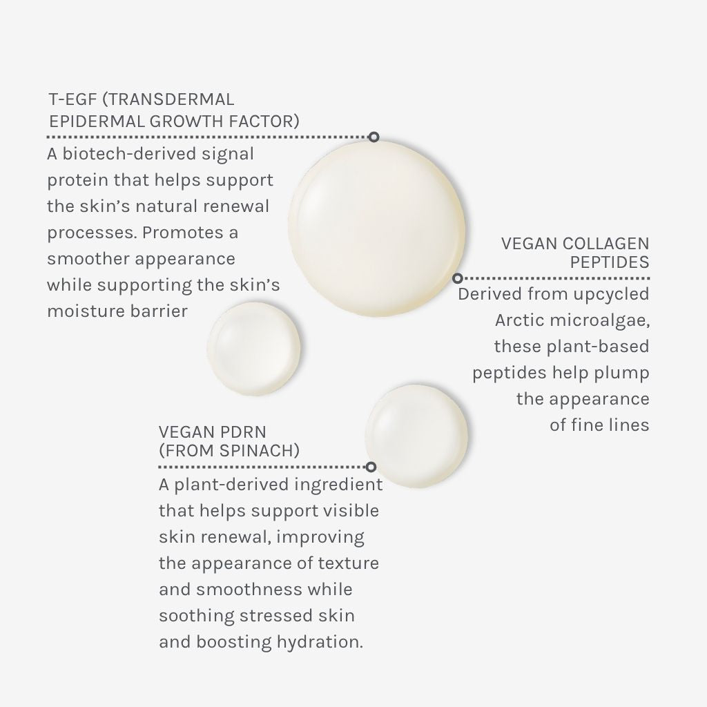 Evolve Organic Face Serums EGF + Collagen Serum trockene Haut