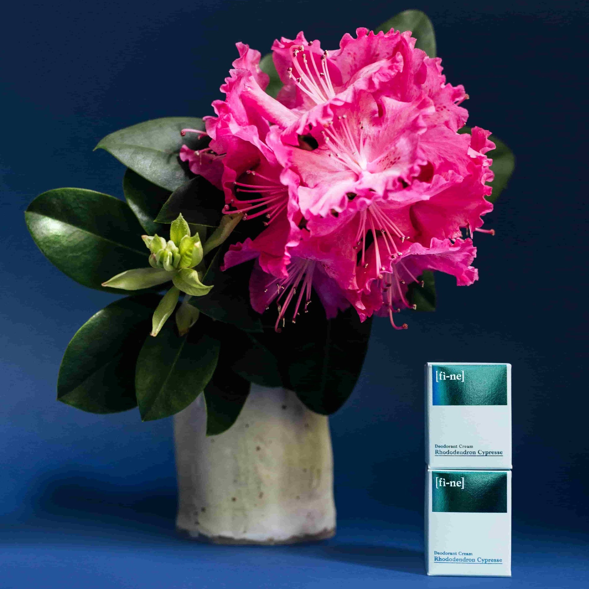 fine Rhododendron Cypress Deocreme Tube aluminiumfrei