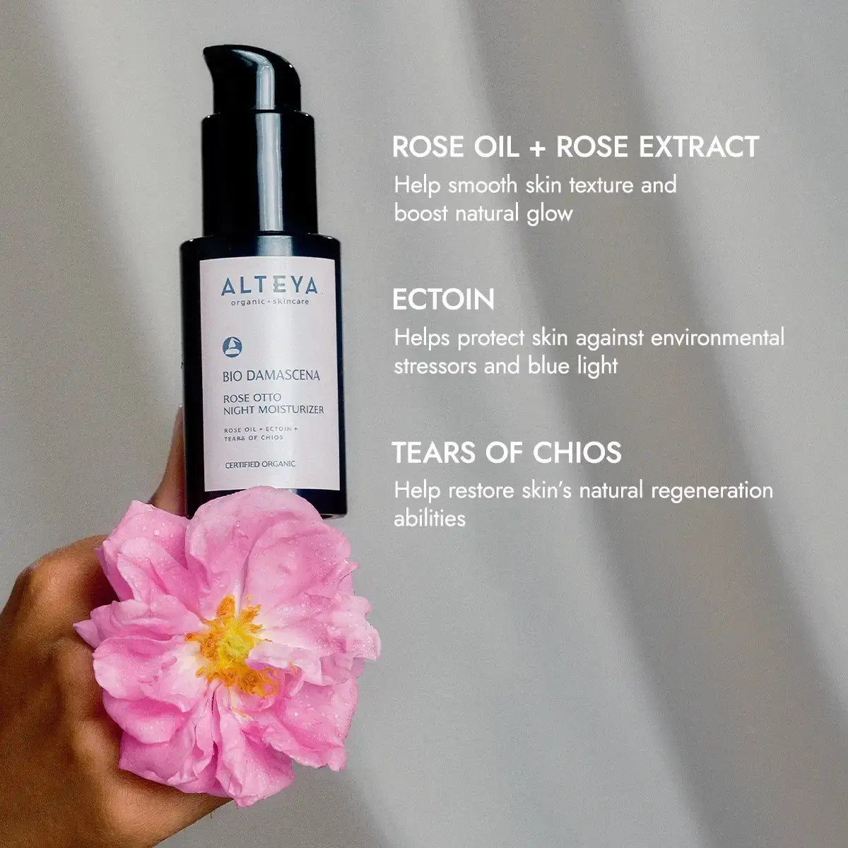 Alteya Bio Damascena Rose Otto Nachtcreme sensible Haut