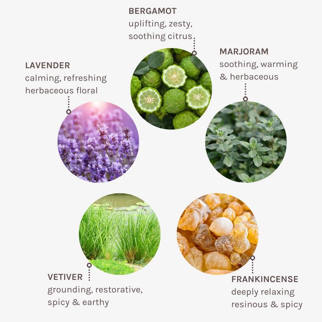 Evolve Organic Beauty Zen Whisper Badeöl und Duschöl Lavendel
